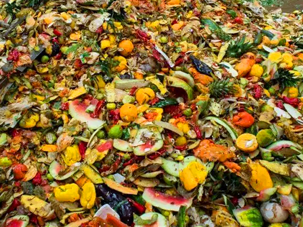 餐廚垃圾怎么除臭